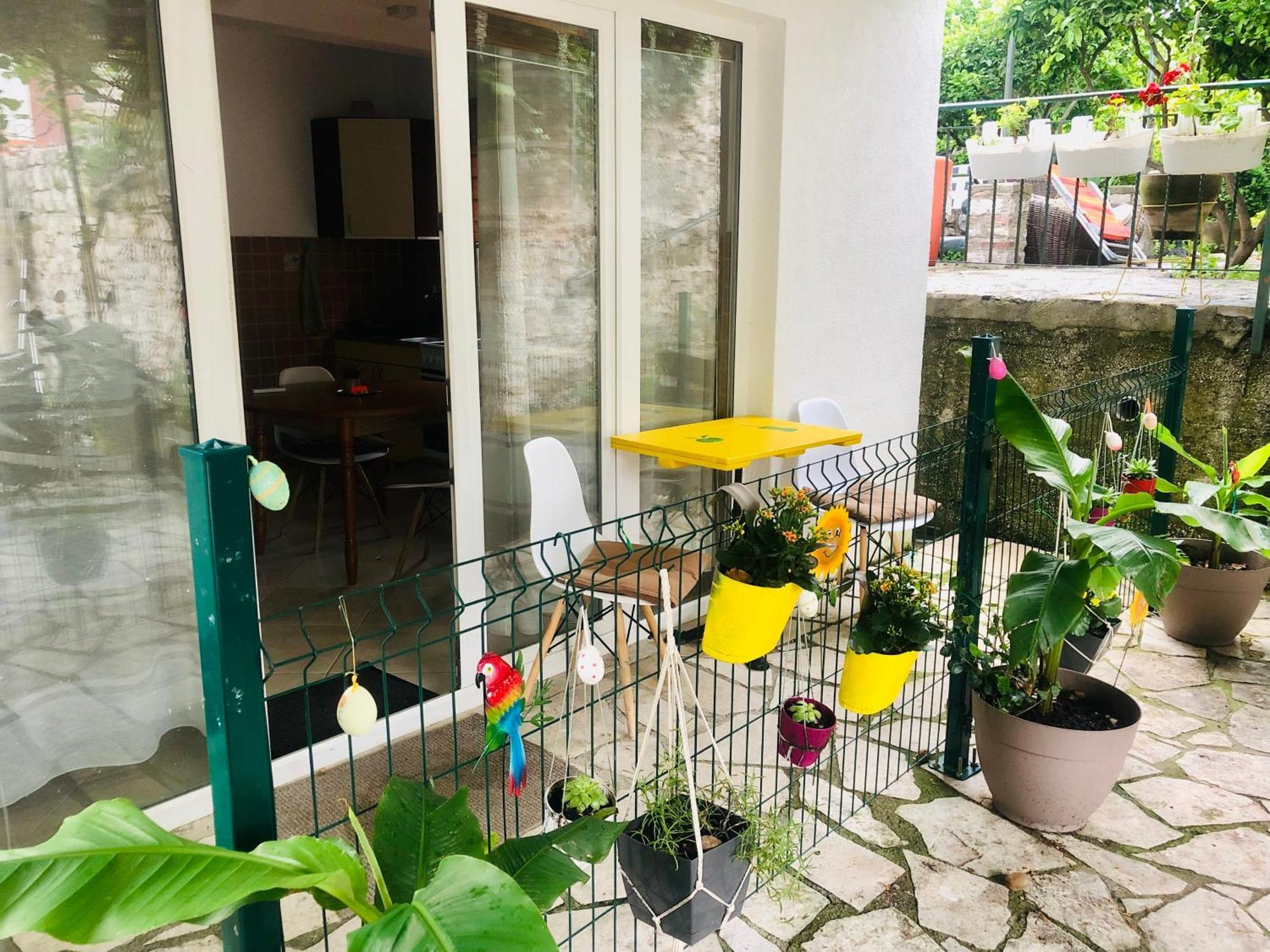 Apartments Djurovic Kotor Habitación foto